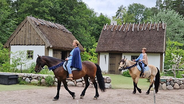 Litterärt personporträtt: Skorpan Lejonhjärta