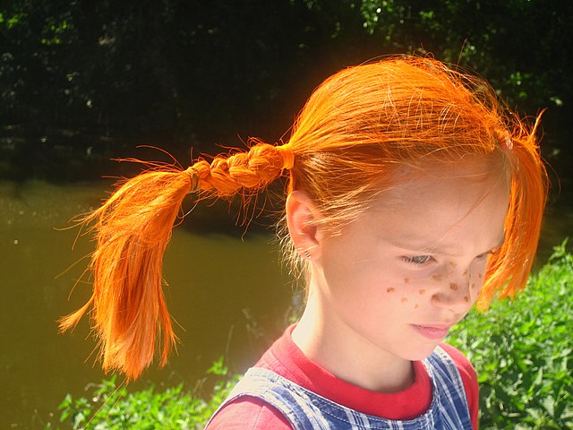 Pippi Långstrump, foto Meena Kadri, licens Creative Commons Attribution 2.0