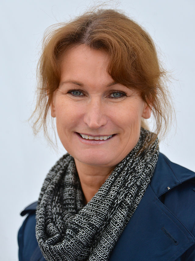 Sammanfattning av I stundens hetta av Viveca Sten