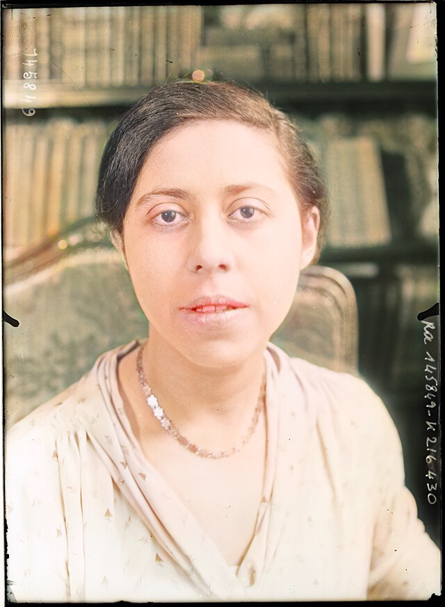 Sammanfattning av Storm över Frankrike av Irène Némirovsky