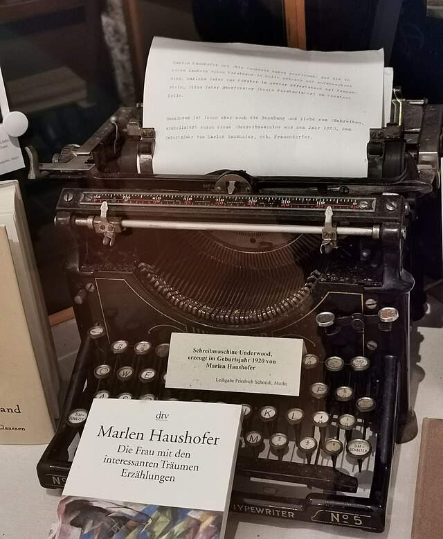 Sammanfattning av Väggen av Marlen Haushofer